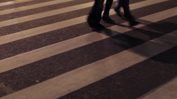 Zicht op zebrapad in nacht stad. Pootjes gaan op de witte stroken. Een na de andere. — Stockvideo