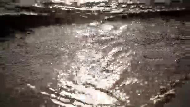 Zee golven zachtjes wassen focus in out. Sprankelende stralen van de zon. Zomer. Close-up. — Stockvideo
