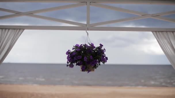 Blumentopf mit Veilchen hängen an der horizontalen Stange des Eingangs. Küste im Hintergrund — Stockvideo