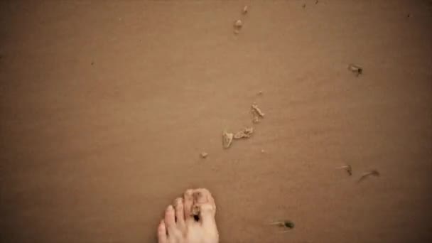 Mans pieds marchent sur la plage de sable. L'été. Vue à la première personne — Video