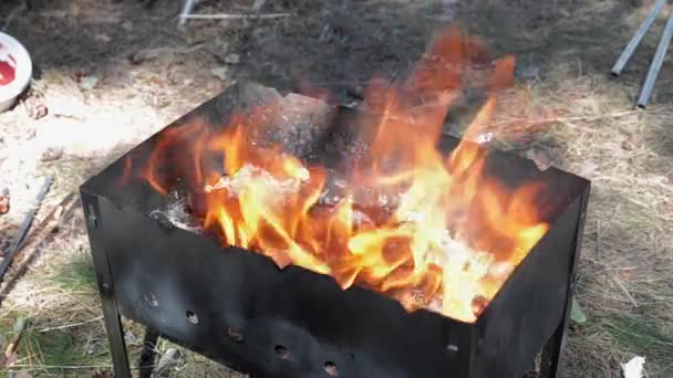 Burning braizer in summer day. Close up. Open fire. Nature — Stock video