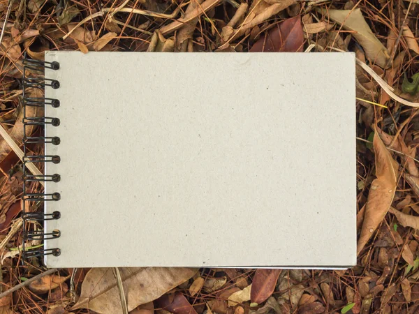 Λευκό χαρτί στο γρασίδι πεθαίνουν. Άποψη από ψηλά — Φωτογραφία Αρχείου