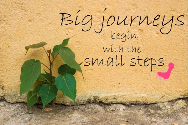 Palabra Los grandes viajes comienzan con los pequeños pasos.Cita motivacional inspiradora en la pared de piedra vieja con árbol para el fondo —  Fotos de Stock
