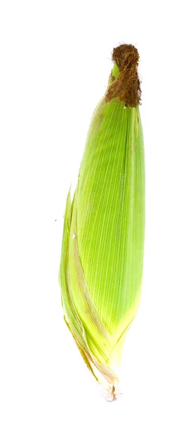 Свежая кукуруза на белом фоне. изолированные — стоковое фото