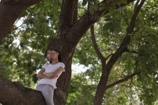 Cattivo bambino carino che gioca sull'albero, Concetto Ricordate - Vintage effetto filtro — Foto Stock