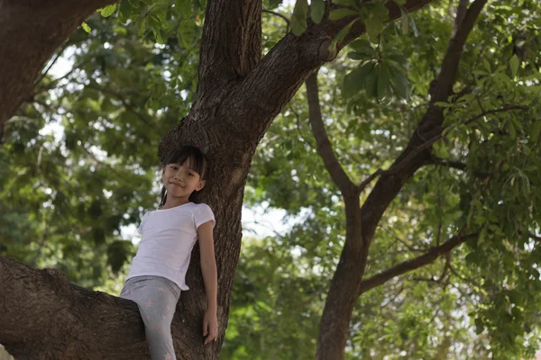 Cattivo bambino carino che gioca sull'albero, Concetto Ricordate - Vintage effetto filtro — Foto Stock