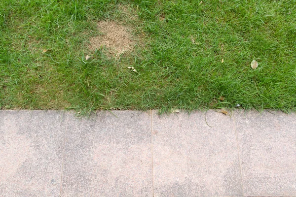 Feld aus Gras und Beton — Stockfoto
