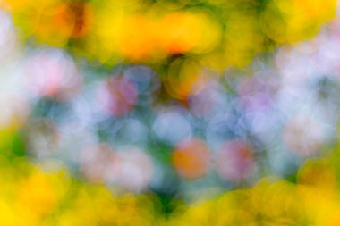 Happy New Year ve Noel arka plan için arka plan mavi bokeh daireler