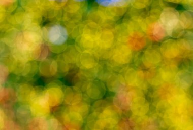 Happy New Year ve Noel arka plan için arka plan mavi bokeh daireler