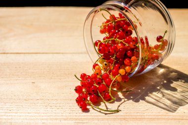 Kırmızı kuş üzümü bir cam kavanozdan döktü