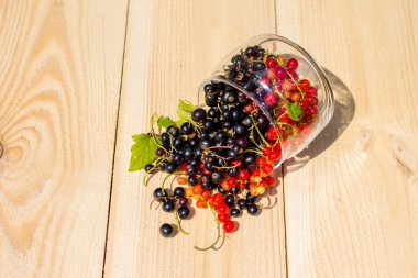 Siyah ve kırmızı kuş üzümü bir cam kavanozdan döktü