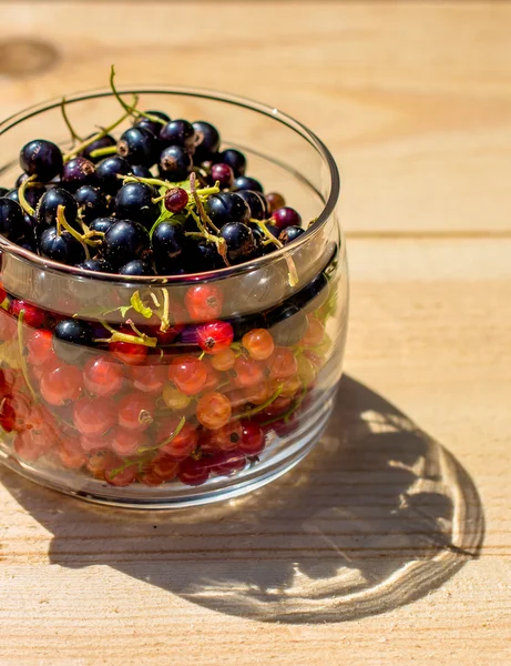 Kırmızı ve siyah kuş üzümü bir cam kavanoz Önden Görünüm