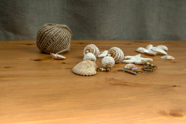 Beyaz-bej el yapımı tığ işi boncuk kolye doğal seashel