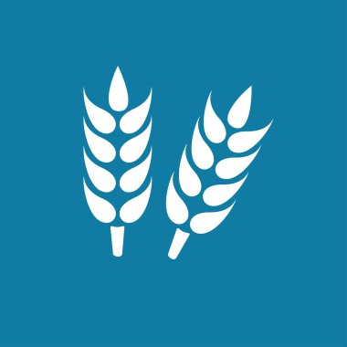 Buğday, arpa ve çavdar kulakları görsel grafik simgeler vektör