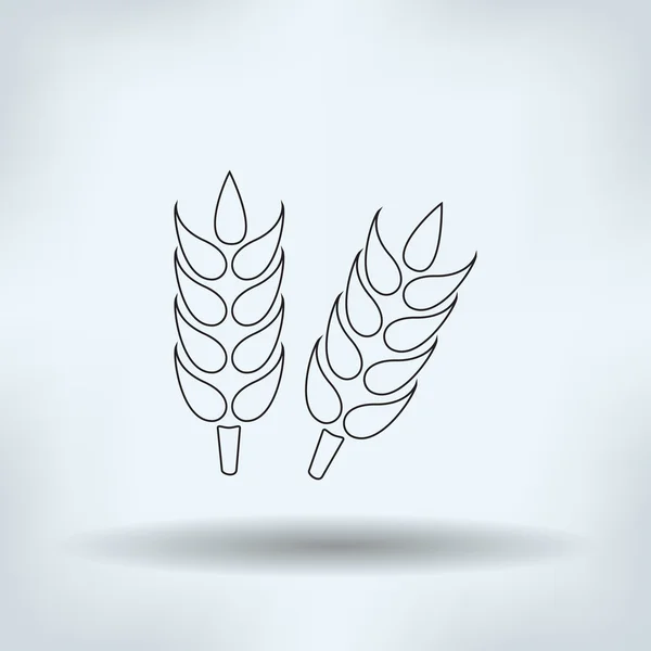 Ears of Wheat, Barley or Rye vector visual graphic icons — Stock Vector