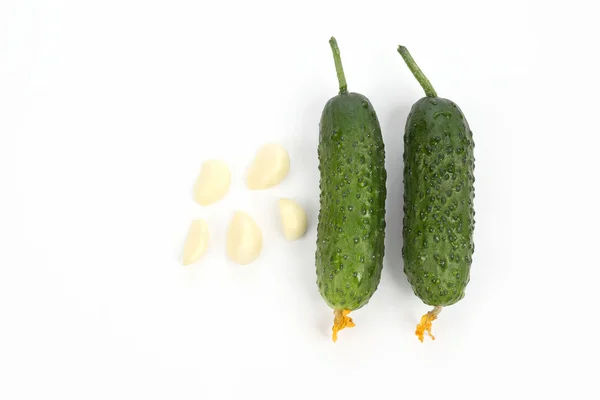 Dos pepino verde y ajo sobre fondo blanco — Foto de Stock