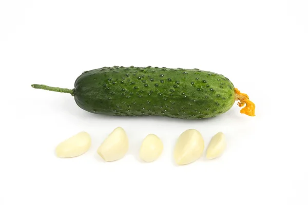 Pepino verde y ajo sobre fondo blanco — Foto de Stock