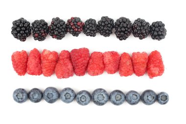 Ahududu, böğürtlen ve satırlarda yer alan yaban mersini, 