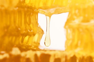 Düşen bal peteğini yakın planda bırak