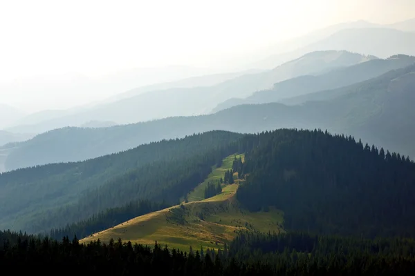 Paisagem florestal nas montanhas dos Cárpatos. Ucrânia — Fotografia de Stock
