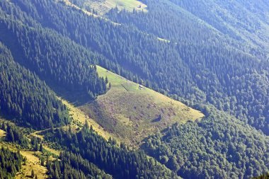 ev dağlar ve ormanlar yamacında