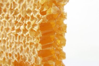 Petek closeup beyaz arka plan üzerinde