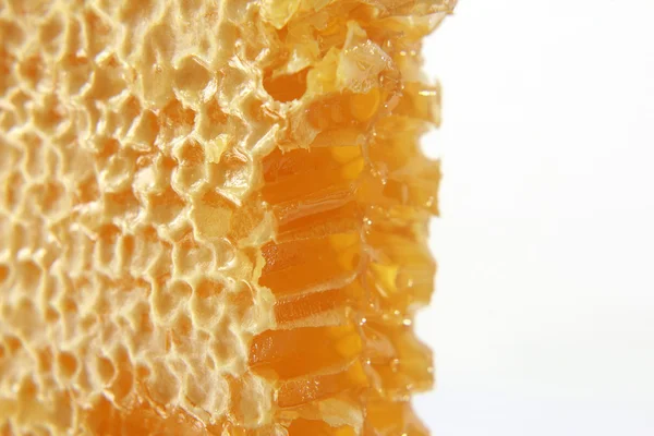 Honeycomb closeup on white background — Stock Photo, Image
