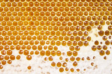 Taraklarda taze bal. Doğal gıda arka plan dokusu
