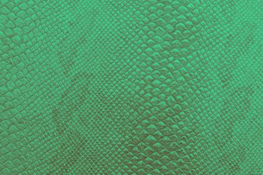 parlak yeşil yılan kayağının arkaplan dokusu