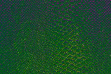 Zümrüt yeşili yılan derisi arka plan dokusu