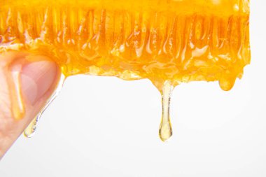 Beyaz arkaplanda parmak damlayan bal peteği