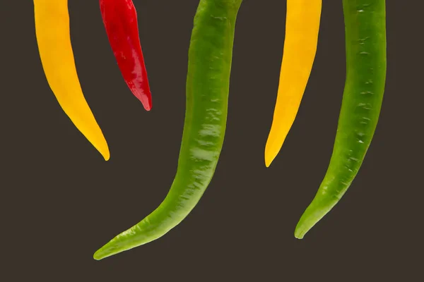 Gele Rode Groene Hete Chili Peper Plantaardig Vitaminevoedsel — Stockfoto