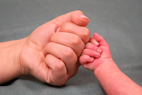 Newborn Baby Fist Hand Parent Fist Together — Stock Photo, Image
