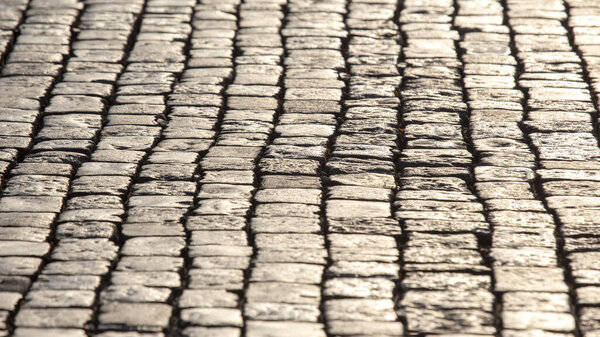 pavement close up in the sunlight. background texture of street stone