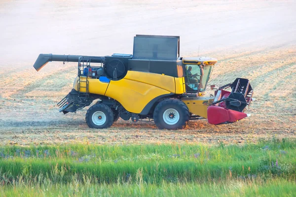 Mietitrice Sta Raccogliendo Grano Nel Campo Preparazione Del Grano Agronomia — Foto Stock