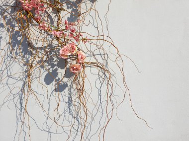 Alçı sokak duvarında dekoratif çiçekler