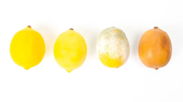 Гнилой Лимон Рядом Свежими Лимонами Белом Фоне — стоковое фото