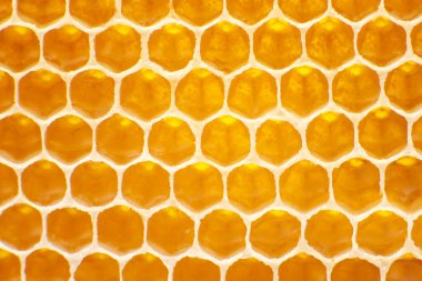 Taraklarda taze bal. Doğal gıda arka plan dokusu