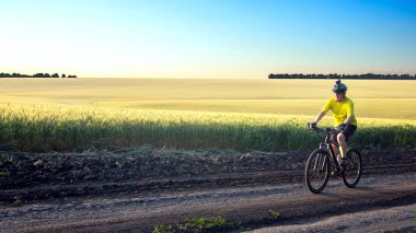 Bisikletçi gün ışığında buğday tarlaları boyunca bisiklet sürüyor.
