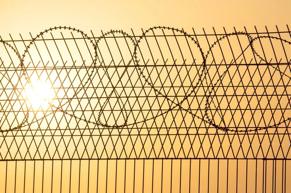 Barbed wire wall against the backdrop of the setting sun. Metaphor of slavery and the search for freedo