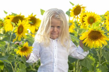 Uzun sarı saçlı mutlu yakışıklı çocuk çiçek açan ayçiçeği tarlasında duruyor.