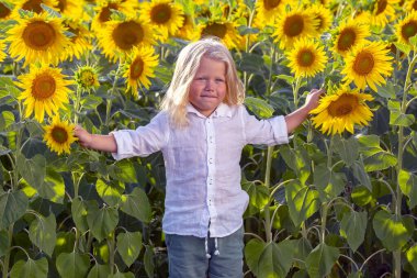 Uzun sarı saçlı mutlu yakışıklı çocuk çiçek açan ayçiçeği tarlasında duruyor.