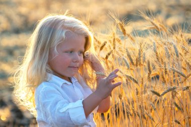 Sarışın, yakışıklı küçük çocuk güneş ışığında sahada yürüyor. Yazın çocukların eğlence ve eğlencesi.