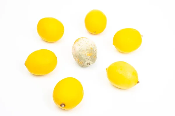 Гнилой Лимон Рядом Свежими Лимонами Белом Фоне — стоковое фото