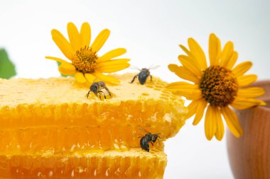 Arılar taze tarağın üzerinde çiçeklerle otururlar. Organik vitamin yiyeceği.