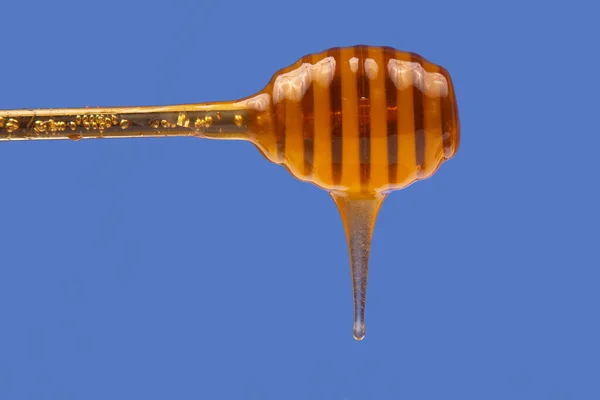 Miel Fresca Goteando Una Cuchara Sobre Fondo Azul Vitamina Orgánica —  Fotos de Stock