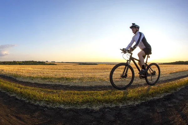 Radler Auf Radtouren Entlang Der Weizenfelder Sonnenlicht — Stockfoto