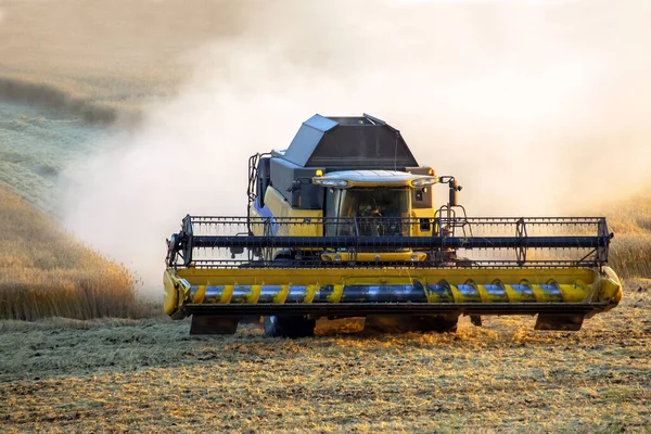 Mietitrebbie Mietitrebbie Grano Campo Agronomia Industria Dei Cereali — Foto Stock