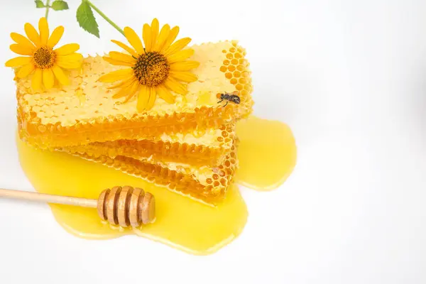 Miel Flor Fresca Peines Una Cuchara Madera Alimentos Vitamínicos Para — Foto de Stock
