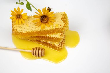 Taze çiçek taraklı bal ve tahta kaşık. Yaşam ve sağlık için vitamin gıdası